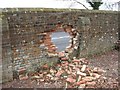 Hole in Drax Wall, Charborough Park