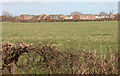 New housing south of Beverley