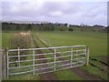 Cloghfin Townland