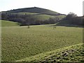 Field beside Chuley Hill