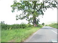 Mid Devon - A396