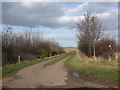 Track to Eastoft  Moors Drain