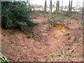 Small Quarry at Cholesbury