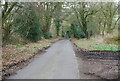 Hampshire Byway near Priors Dean