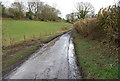 A Quiet Hampshire byway near Priors Dean