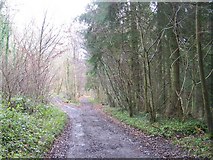 ST9536 : Restricted byway near Stony Hill by Maigheach-gheal