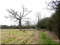 Footpath parallel to the A428