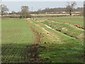 Drainage ditch near Priory Farm