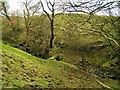 Footbridge behind Whitbeck Farm