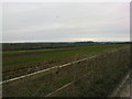 Stember farmland toward Crundal