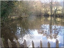 TQ6453 : Mill Pond in Swanton Valley by David Anstiss