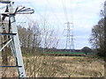 Powerline on Arbrook Common