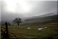 View of Glenmoy