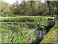 The Afon Alun, Castle-upon-Alun