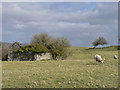 SS9579 : Ruin at Penymynydd on the north flank of St Mary Hill. by Mick Lobb