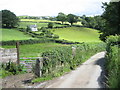 Fields round Llanddoged