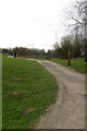 Paths at Ryton Pools Country Park