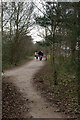 SP3772 : Paths at Ryton Pools Country Park by Keith Williams