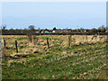 Farmland near New Farm, Bentham Lane, Purton