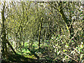 Footpath, near West Marsh Farm, Purton