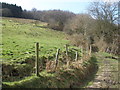 Woodland path, above Abercwmboi