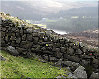 J2922 : Mourne Wall, Slievenaglogh by Rossographer