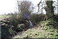 Small stream in a ditch near Norton Farm, Selborne