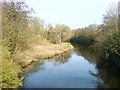 River Cleddau from the main road