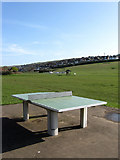 TQ3802 : Outdoor Table Tennis, Saltdean Park by Simon Carey