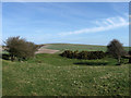 Tumulus near Balsdean