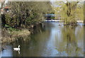 River Gipping at Bramford