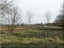 TL5463 : Grange Farm by Keith Edkins