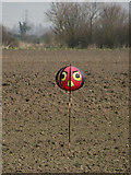 TL5463 : Bird scarer at Grange Farm by Keith Edkins