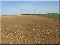 Freshly tilled land near Grateley