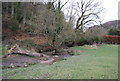 Stream to the East of Selborne