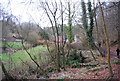 Wooded Valley, East of Selborne (2)