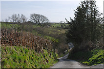 SN6486 : Steep hill near Bryngwyn by Nigel Brown