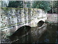 Mirrored Bridge