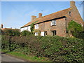 Houses on the N side of the B2067, Bilsington