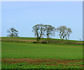 2009 : Farmland and trees near Stanton Wick