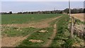 Footpath junction in large field near Easebourne