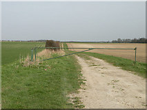 TL5964 : Farm track off Heath Road by Keith Edkins