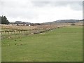 Glade Burn, Thankerton