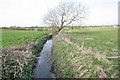 Dyke Near Trees Farm, in Winter