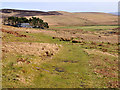 Track above Tigh na Blair