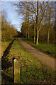 Linford Wood footpath, Milton Keynes