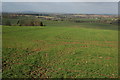 View north from Llangrove