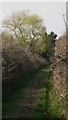 Permissive footpath leading to Easebourne Street