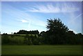 July evening in Cawthorne Park