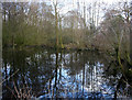 Mere in scrubland at Sound Heath